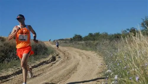 10 из Ибеаса