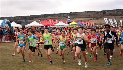 Детский автодром