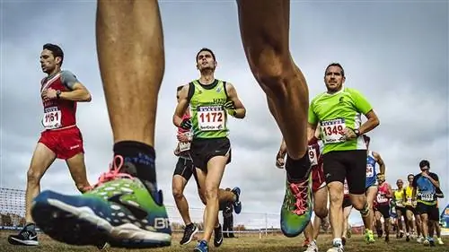 Бежим в провинцию Бургос