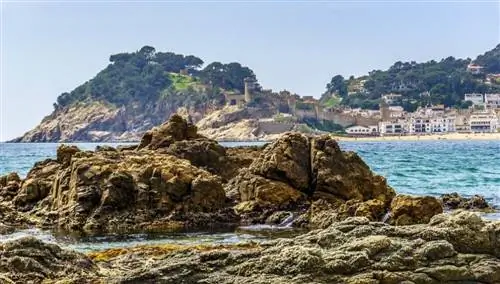 Тосса де Мар