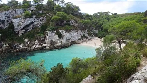 Кала Макараллета