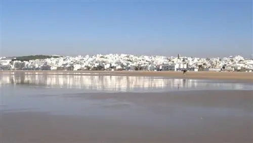 Кониль де ла Фронтера