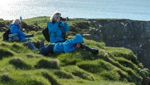 Фуглетиттинг. Гримси