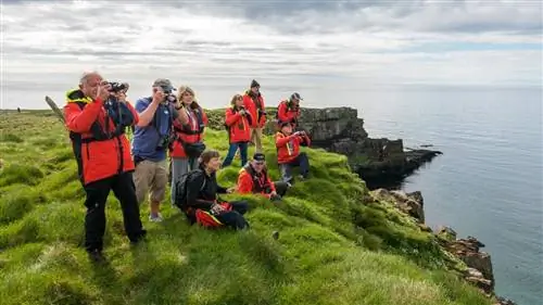 Эльфы, саги и вулканы Исландии
