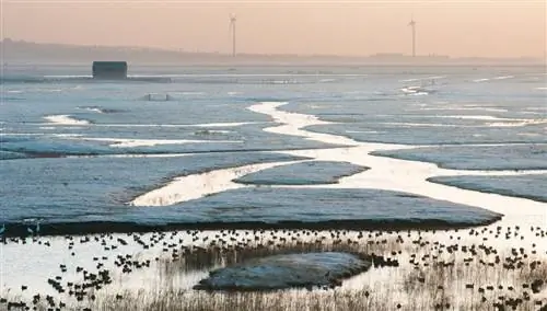 Природный заповедник Элмли