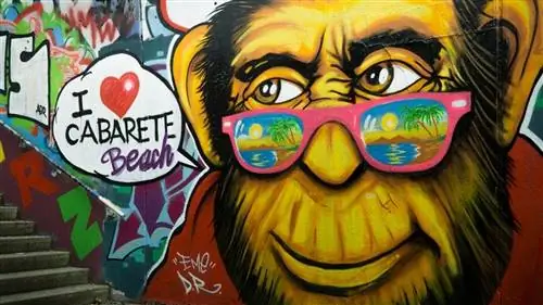 Самые зрелищные граффити в мире