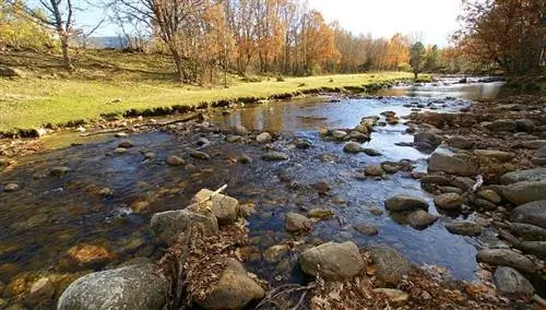 Холодный скребок