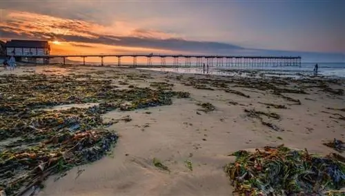 Солтбернский пирс. Док