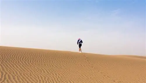 Арабские Эмираты