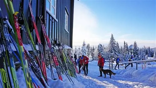 Праздники в снегу