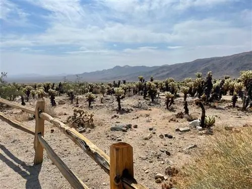 Лучшие национальные парки для весенних каникул