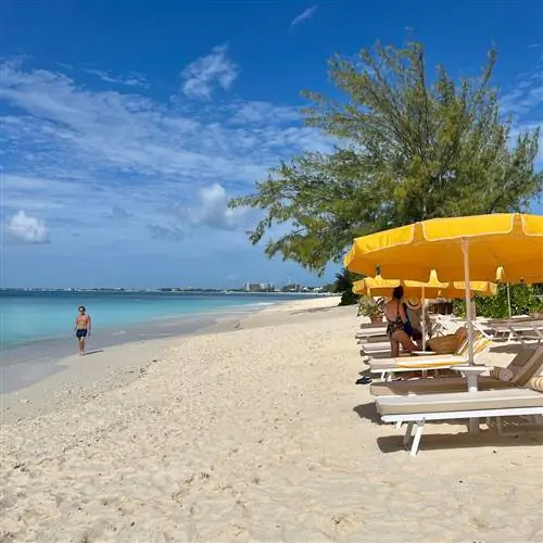 Знакомство с классикой и новинками на Большом Каймане