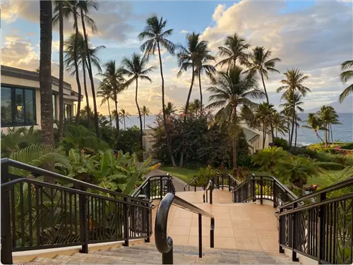 20 предприятий, которые стоит посетить на Мауи