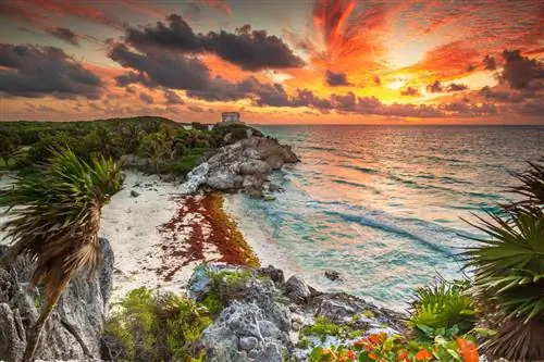 Фото основных достопримечательностей, которые стоит сделать и посмотреть в мексиканском регионе Ривьера-Майя