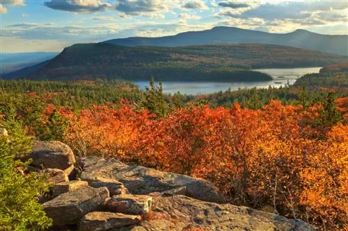 10 самых инстаграмных мест, где можно подглядывать за листьями в США