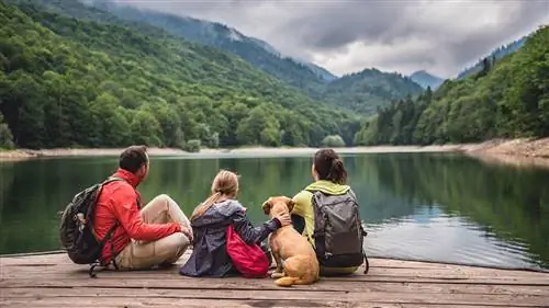 Самые популярные национальные парки Америки, где разрешено размещение с домашними животными
