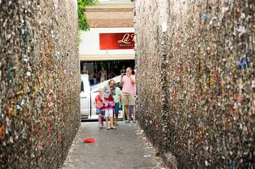 17 необычных достопримечательностей по всей Америке