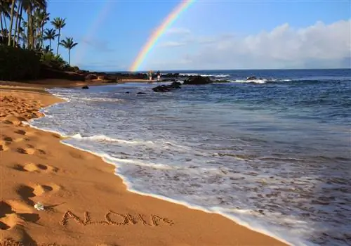 Самые здоровые штаты США (и наименее здоровые)