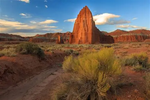 Отпразднуйте неделю национальных парков на этих недооцененных охраняемых землях