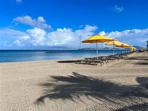 Ограничения на поездки в Карибский бассейн: что нужно знать путешественникам о посещении Сент-Китс & Невис сейчас