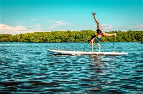 Приключения на свежем воздухе на побережье Мексиканского залива Флориды