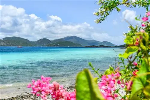 Новейшие протоколы путешественников для 20 стран Карибского бассейна