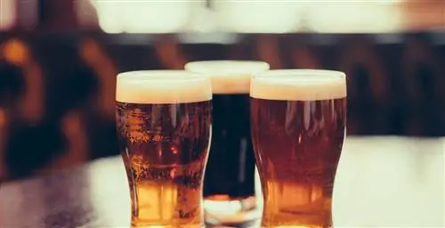 Попробуйте самые северные сорта пива в мире с компанией Atlas Ocean Voyages