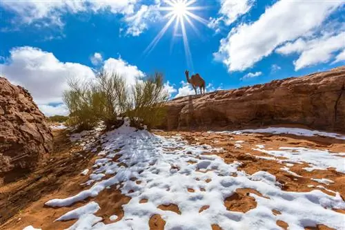 Лучшие места для пеших прогулок в Саудовской Аравии