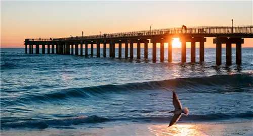 Академия турагентов поможет вам сосредоточиться на Флориде в решающий момент