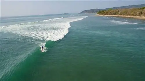 Опыт серфинга и дикой природы всей семьей в Коста-Рике