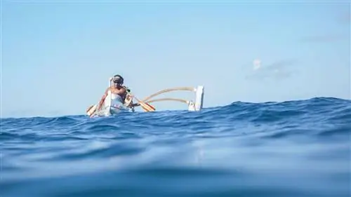 5 вещей, которые нужно сделать на Мауи