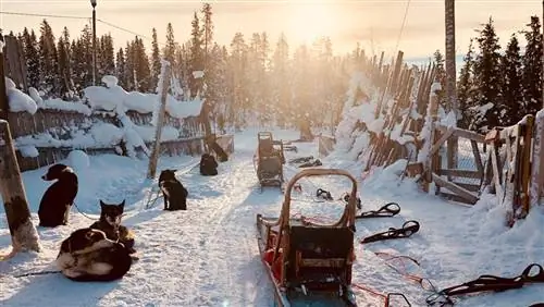 10 лучших приключений в Арктической Европе