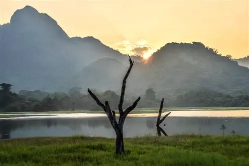 Потрясающая Шри-Ланка: фототур