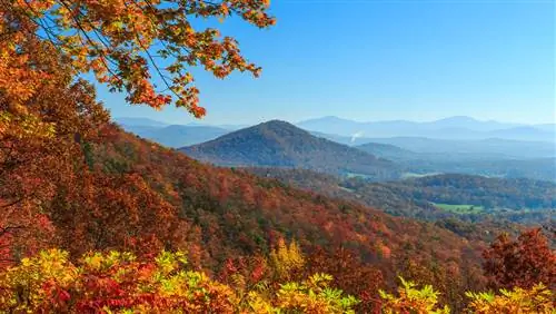 10 мест, где можно дешево подсмотреть листочки