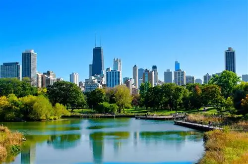 Растратьте свой доллар на эти сезонные направления