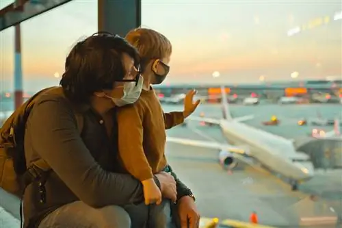 Можете ли вы путешествовать безопасно с вариантом Delta?