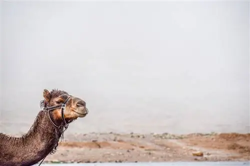 Вдохновляющий Израиль: фототур