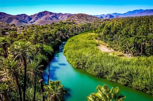 5 мест, которые обязательно нужно посетить в Южной Нижней Калифорнии