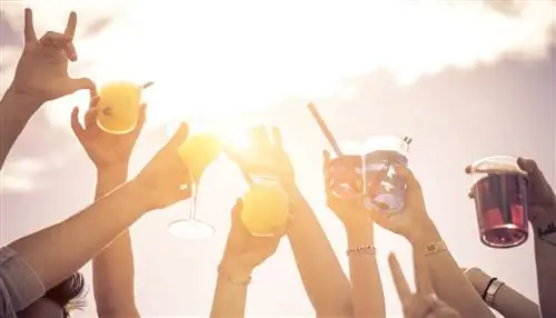 Лучший пляжный бар в каждом штате