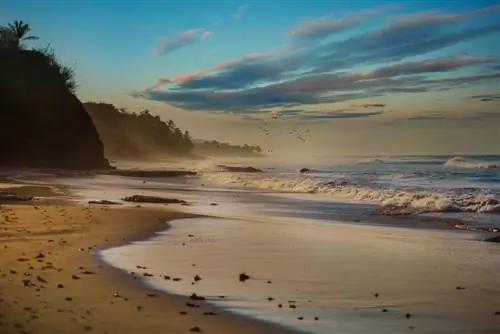 Meliá создает свои люксовые бренды в Мексике