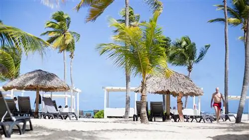 Узнайте больше о Majestic Elegance Punta Cana