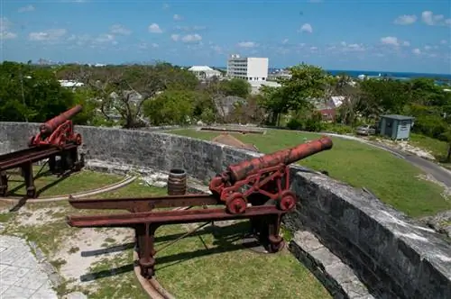 Погрузитесь в сенсационное искусство райского острова Нассау