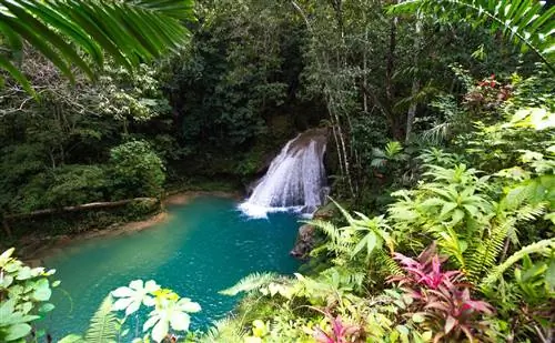 Продавайте больше Ямайки с Академией турагентов