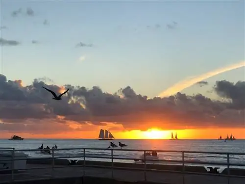 Самые популярные направления весенних каникул в США