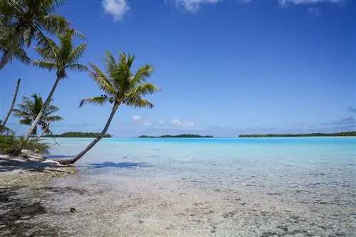 Потрясающий Таити: Путеводитель в фотографиях