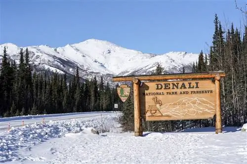 10 лучших национальных парков для посещения зимой