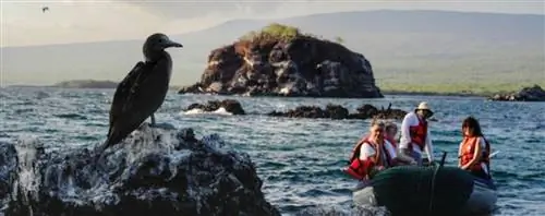 Частые вопросы о Галапагосских островах, часть 2