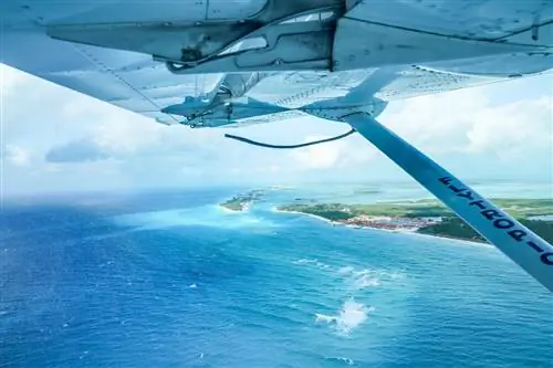 Красивый Бимини: фотопутеводитель по крошечному острову на Багамах