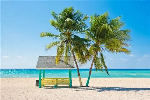 Прогулка по островам Каймановых островов