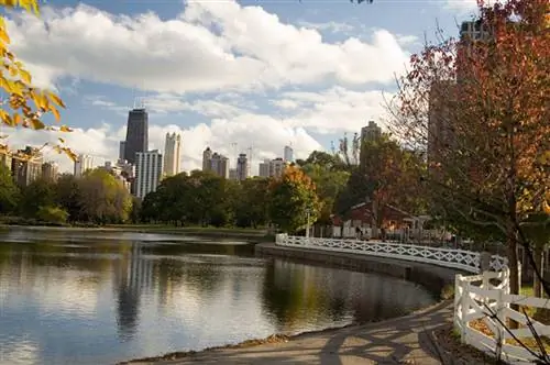 4 способа отпраздновать осень в Чикаго